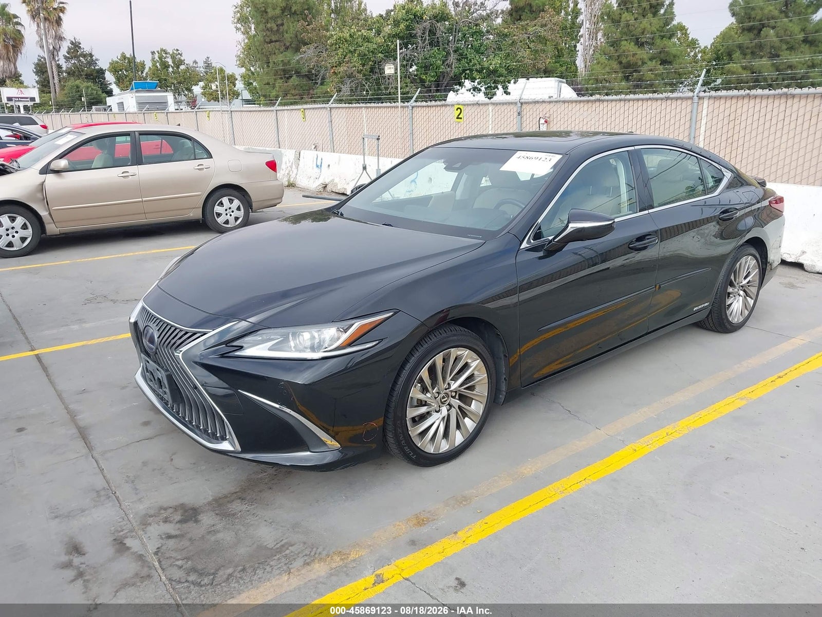 2019 Lexus ES LUXURY, фото 2
