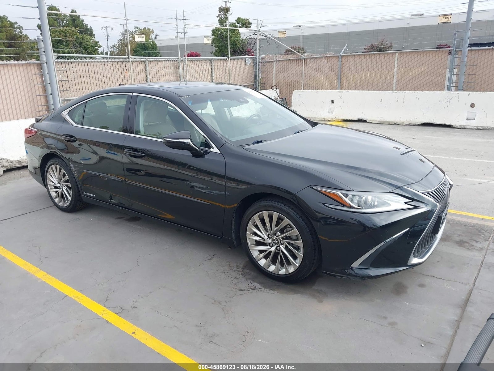 2019 Lexus ES LUXURY, фото 1
