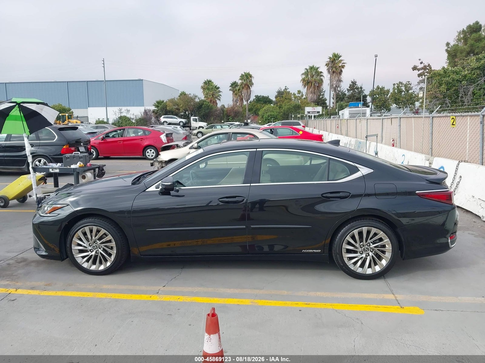 2019 Lexus ES LUXURY, фото 15