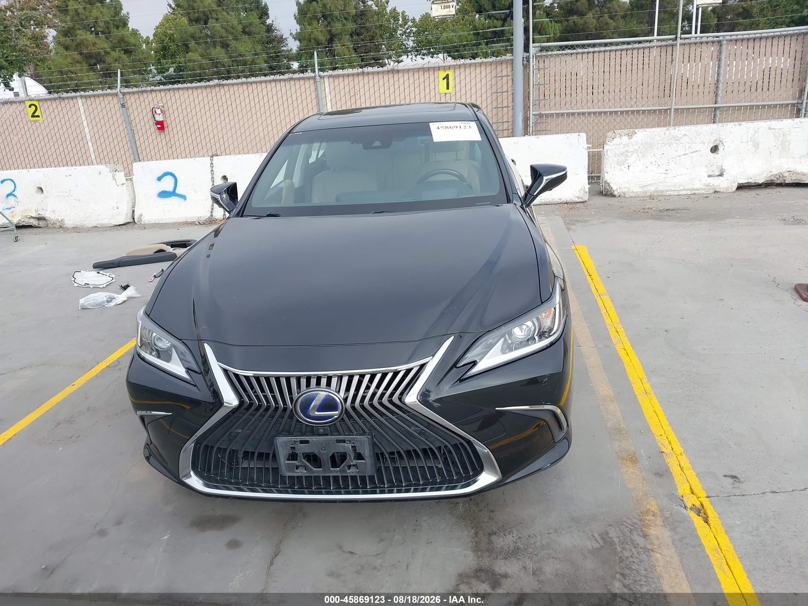 2019 Lexus ES LUXURY, фото 13